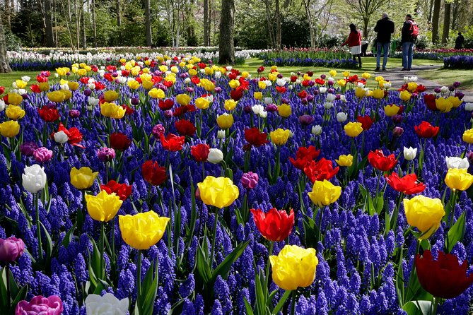 windmills-marken-volendam-plus-guided-keukenhof-visit
