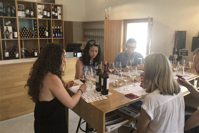 Windmills of Don Quixote Wine Tour & Tasting from Madrid - What Do We Think About the Price?