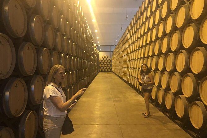 Windmills of Don Quixote Wine Tour & Tasting from Madrid - Final Thoughts: Who Is This Tour For?