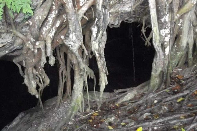 window-cave-walking-tour-from-san-juan