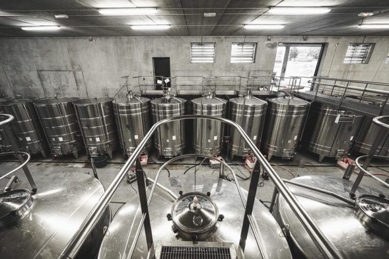 wine-and-chocolate-experience