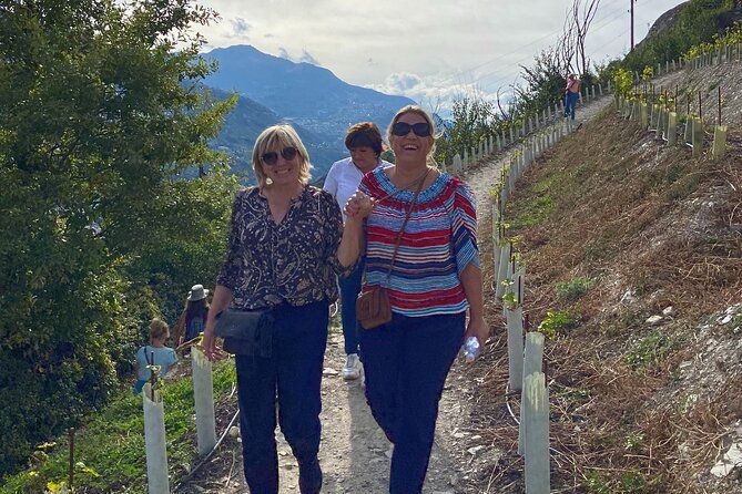 wine-and-dine-vineyard-walk-in-sion