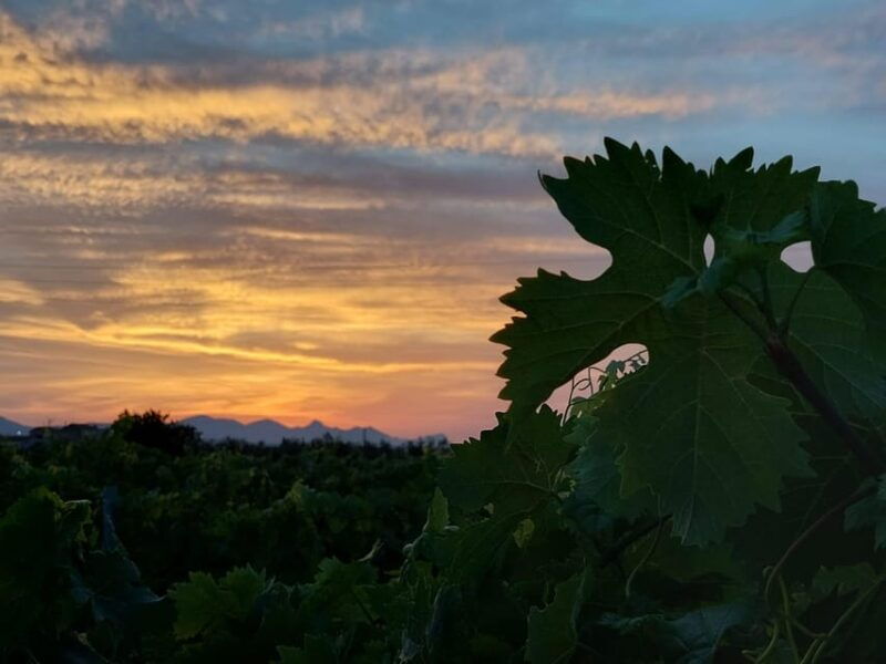 wine-and-food-at-sunset