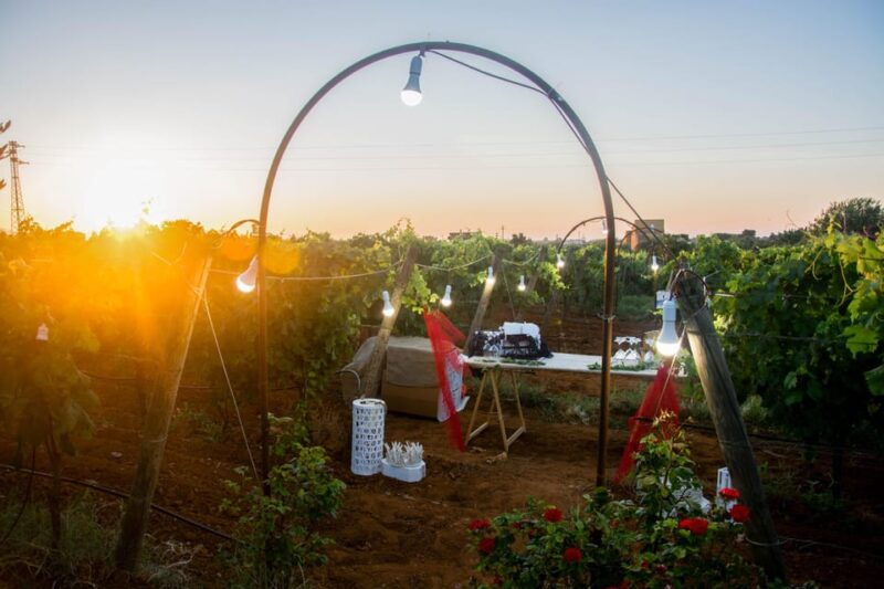wine-and-food-at-sunset