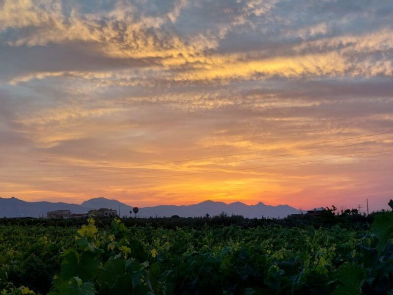 wine-and-food-at-sunset