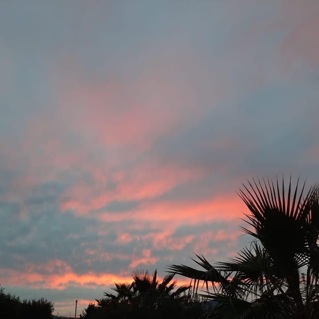 wine-and-food-at-sunset