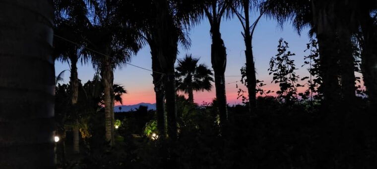wine-and-food-at-sunset