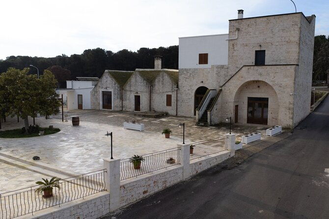 wine-and-food-pairing-experience-at-alberobello-winery