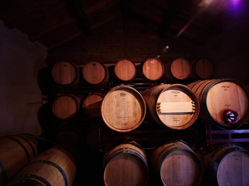 wine-and-food-pairing-tasting-las-dos-antiguas-artisan-winery-segovia