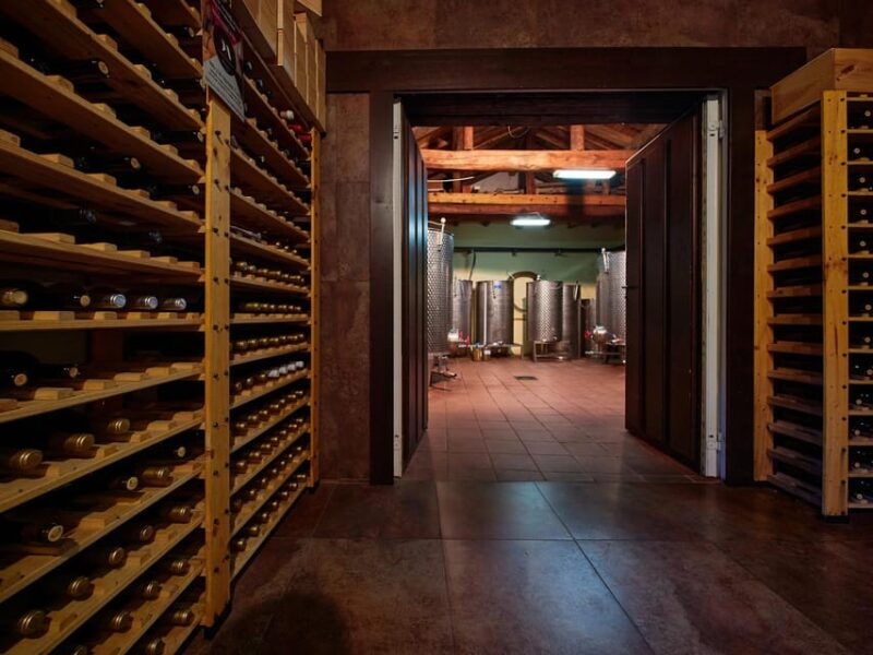 wine-and-food-pairing-tasting-las-dos-antiguas-artisan-winery-segovia