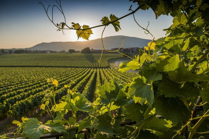 wine-and-food-tasting