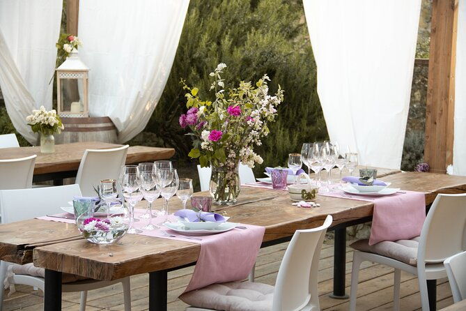 wine-and-food-tasting-in-an-organic-family-winery
