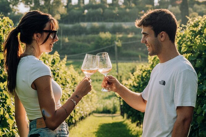 wine-and-food-tasting-in-the-vineyards-in-lazise