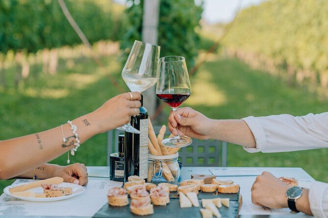wine-and-food-tasting-in-the-vineyards-in-lazise