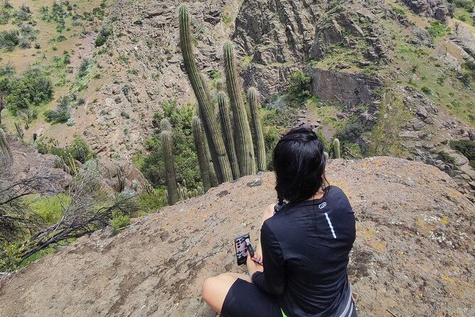 wine-and-food-tasting-with-hiking-near-santiago