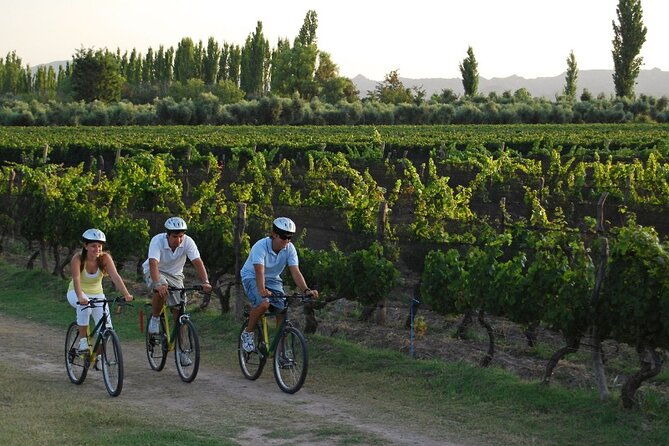 wine-and-literature-tour-in-mendoza-trip-to-the-borges-labyrinth