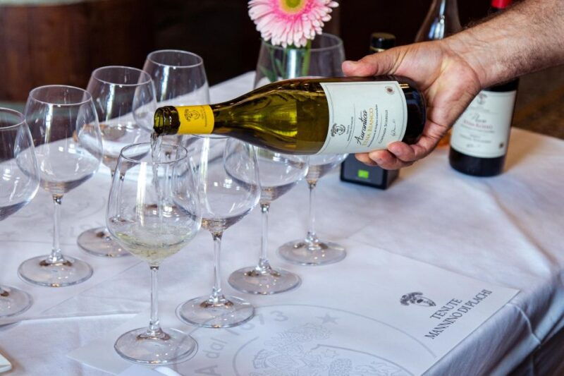 wine-and-local-delicacies-tasting-at-a-sicilian-palmento