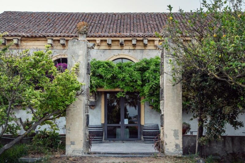 wine-and-local-delicacies-tasting-at-a-sicilian-palmento