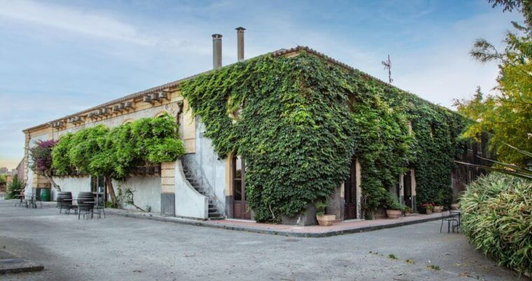 wine-and-local-delicacies-tasting-at-a-sicilian-palmento