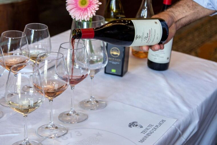 wine-and-local-delicacies-tasting-at-a-sicilian-palmento