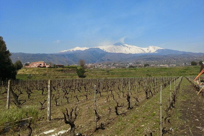 wine-and-lunch-tour
