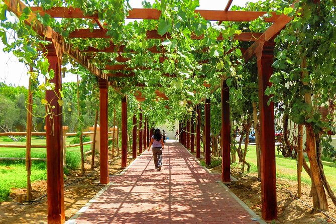 wine-and-pisco-tasting-experience-by-caravedo-and-tacama-in-ica