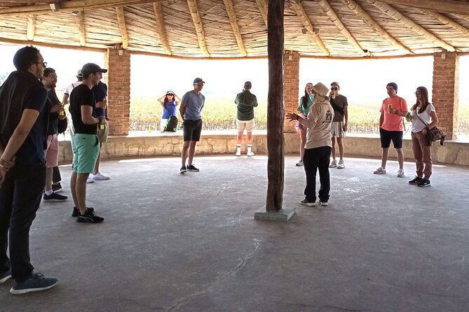 wine-and-pisco-tasting-experience-by-caravedo-and-tacama-in-ica
