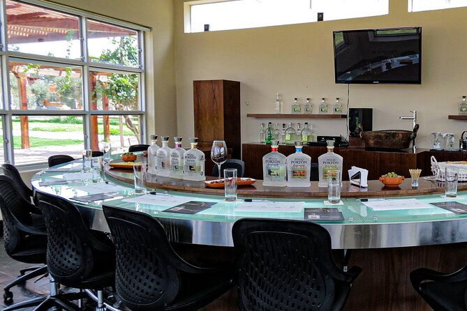 wine-and-pisco-tasting-experience-by-caravedo-and-tacama-in-ica