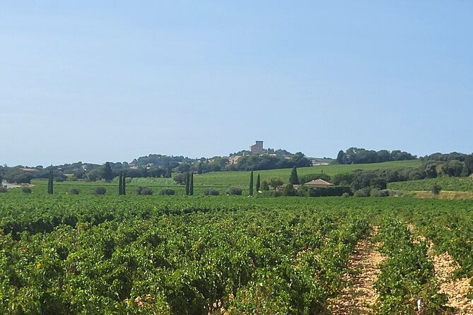 wine-and-romans-2