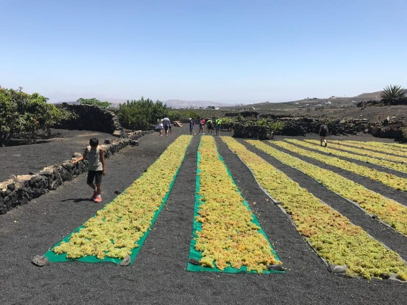 wine-and-volcan-private-tour