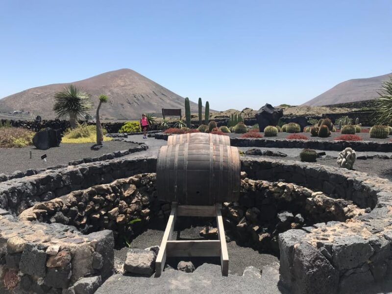 wine-and-volcan-private-tour