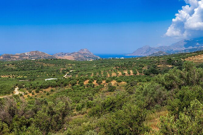 wine-beer-olive-oil-tasting-private-tour-price-per-group-of-6