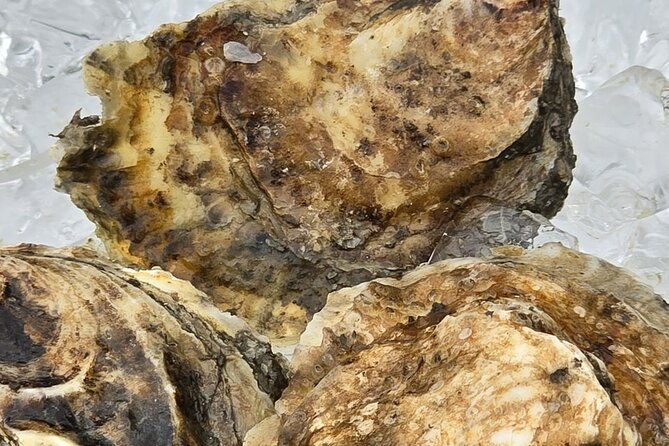 wine-brine-boat-cruises