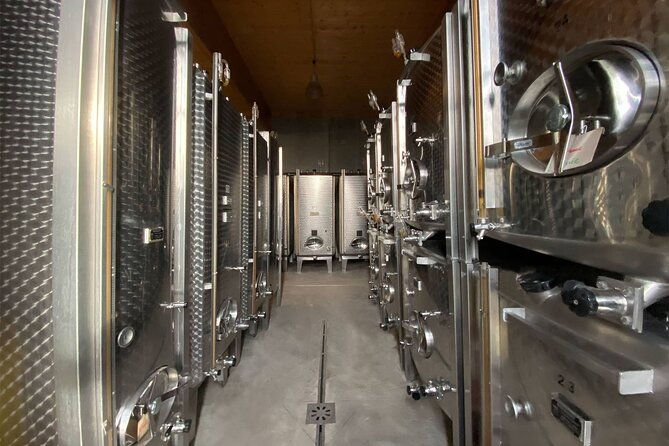 wine-cellar-visit-tasting-of-organic-alsace-wines