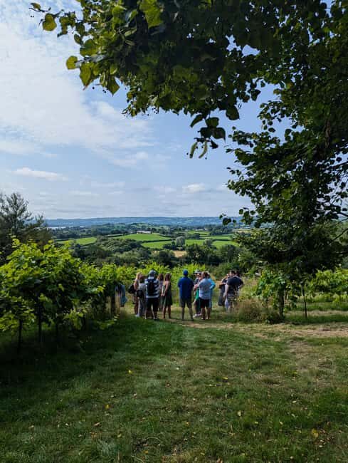 Wine & Cheese in the Somerset Valleys - with Michelin lunch - Key Points