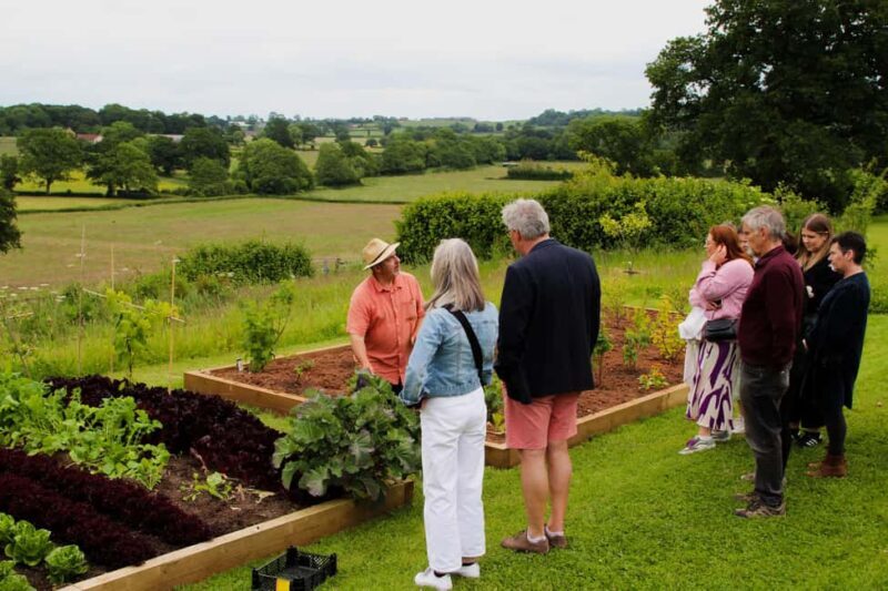 Wine & Cheese in the Somerset Valleys - with Michelin lunch - Final Thoughts