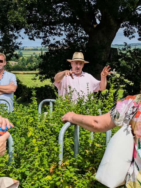 Wine & Cheese in the Somerset Valleys - with Michelin lunch - FAQ