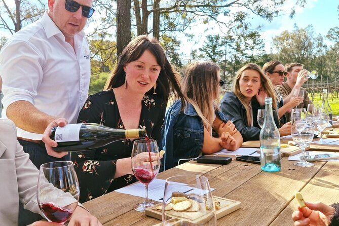 Wine & Cheese Tasting Experience in Hunter Valley - The Experience at McCaffrey’s Estate: What to Expect