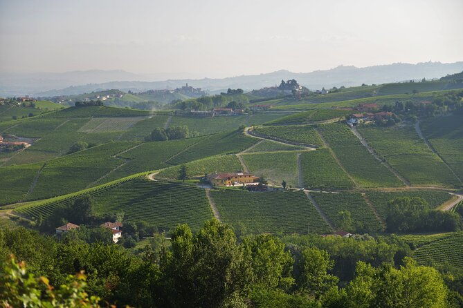 wine-chocolate-tour-and-tasting-in-alba-area