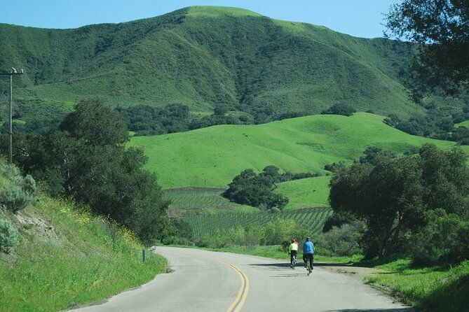 wine-country-half-day-bike-tour-from-solvang-w-o-lunch-2