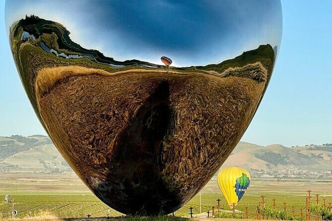 Wine Country Join-in Flight - Practical Details: What Makes It Worth It  