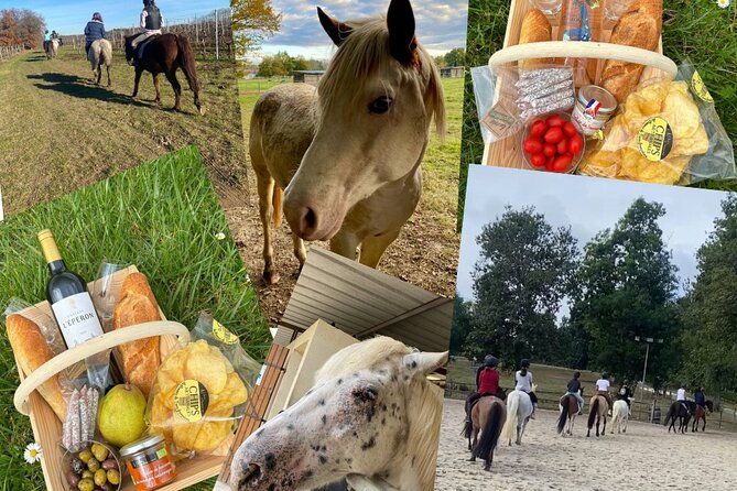 wine-degustation-visit-and-masterclass-from-verac