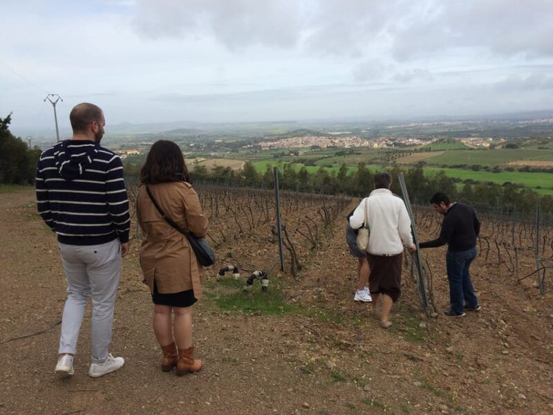 wine-experience-around-cagliari