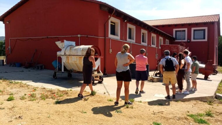 wine-experience-around-cagliari