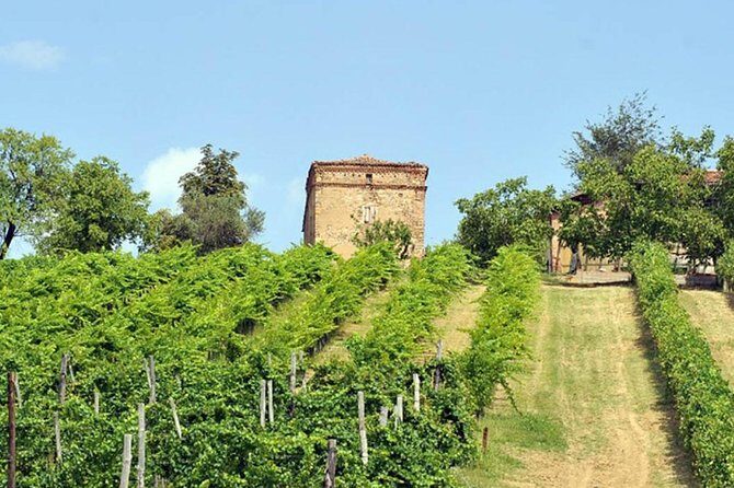 Wine experience Bologna hills - Introducing the Wine Experience in Bologna Hills