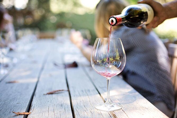 Wine experience Bologna hills - The Itinerary: What to Expect on This Wine Tour