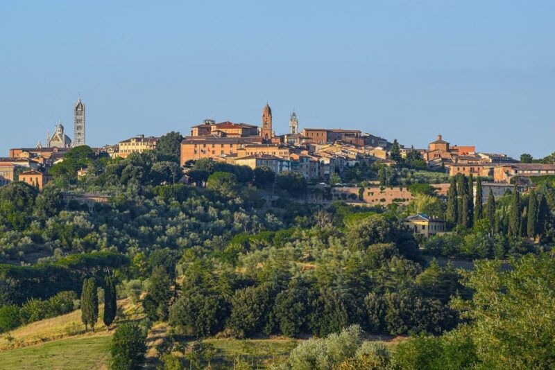 wine-experience-colli-bolognesi-afternoon-tour