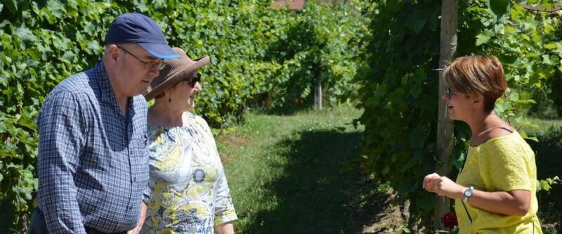 wine-experience-colli-bolognesi-afternoon-tour