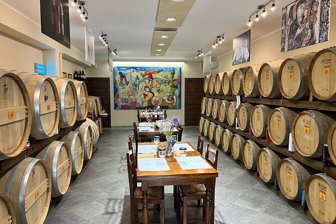 Wine Experience - Practical Tips for Visitors