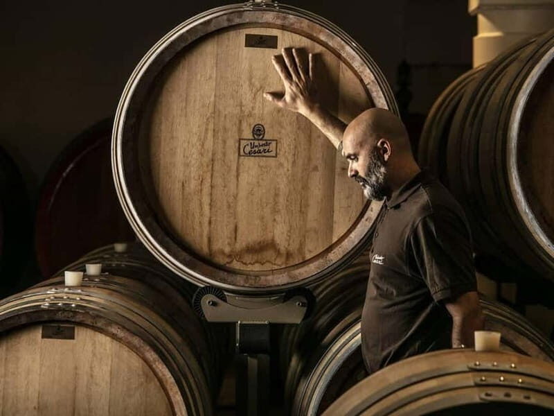 WINE EXPERIENCE & DOZZA - Private Day Tour from Bologna - The Sum Up